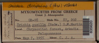 Image Associated With the Occurence
